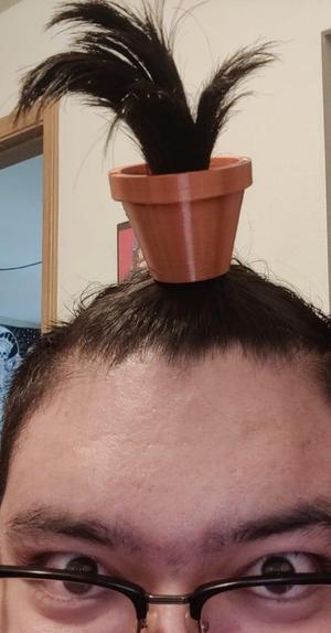 Plant pot for hair
