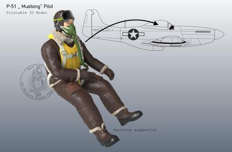 P-51 Mustang Pilot