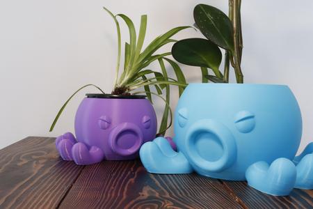 Octo Planter