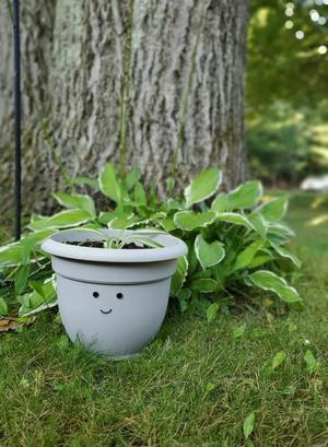 BASIC BUT AWESOME FLOWER POT