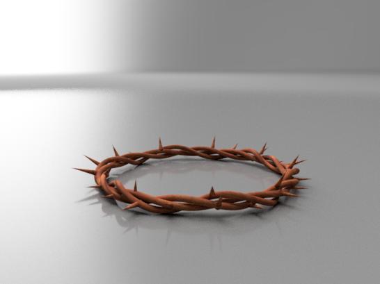 Jesus Christ Crown of Thorns