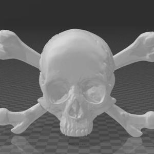 Jolly Rogers Trailer Hitch Cover