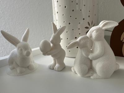 Adorable Bunny Set Easter Bunny Set Easter