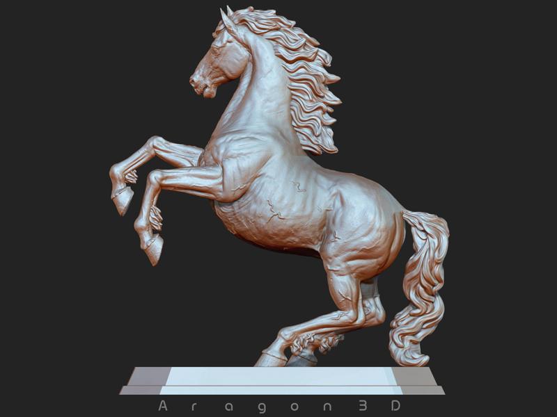 Horse print ready Stand Pose