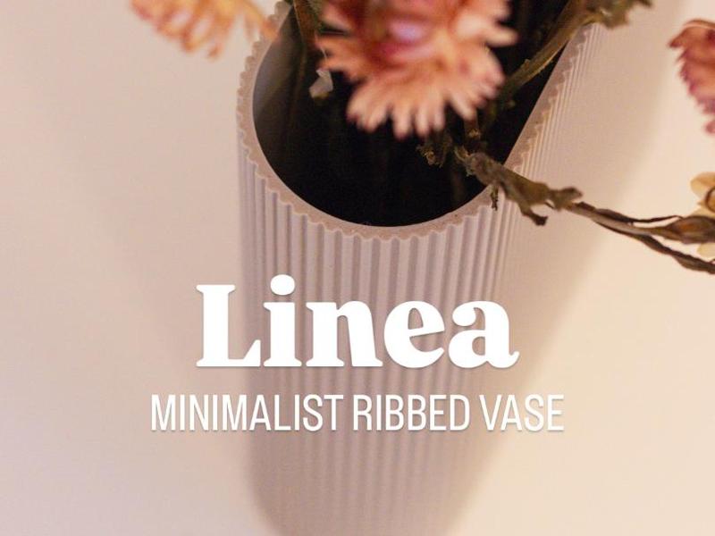 Linea – The Minimalist Ribbed Vase