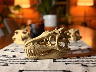 Dinosaur Skull Fossil