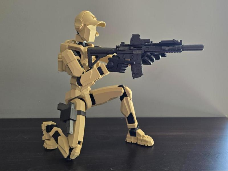 Dummy 13 AR-15 Rifle