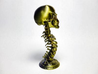 Spine Tower