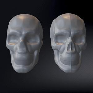 FREE Male Skull Planes
