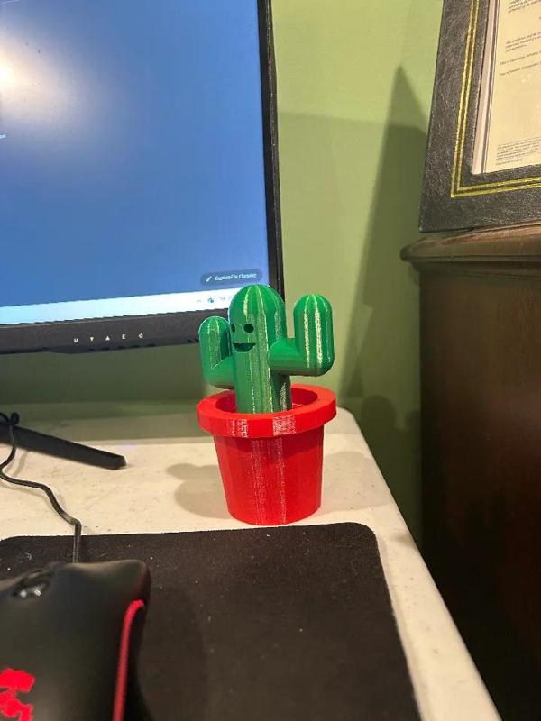 Cute Cactus