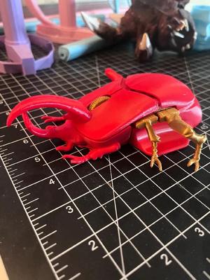 Rhinocerous Beetle HyperX Pulsefire Saga – Shells and Buttons Variation