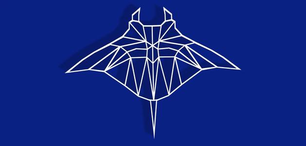 Geometric Manta Ray