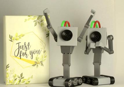 “Butterbot/Purposebot” – 3D Printable Posing Toy