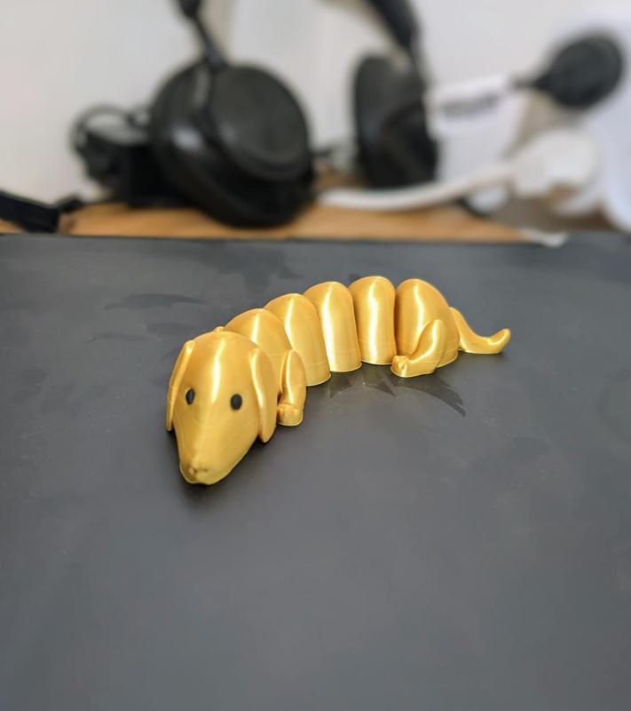 Flexi Dachshund – DOG