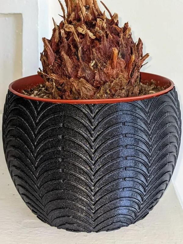Sago Palm Pot
