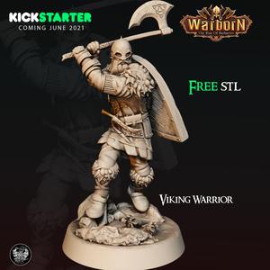 KICKSTARTER FREE ”VIking Warrior  Presupported 3D Model