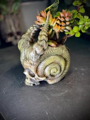 Skull of the demon snail planter.stl