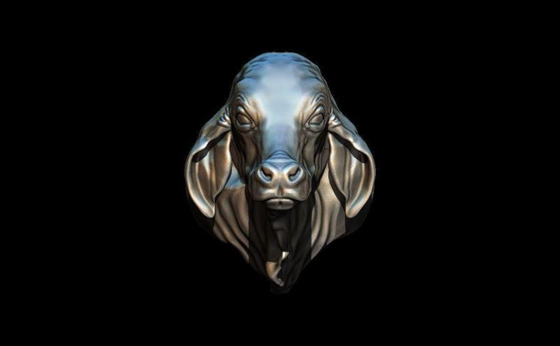 Bull ring