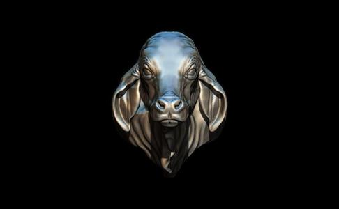 Bull ring