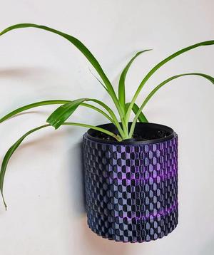 Wall Vase with Integrated Water Distribution System #1