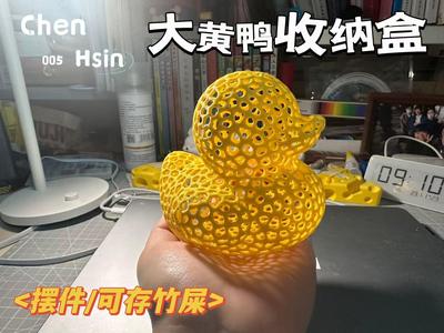 Rubber Duck Storage Organizer