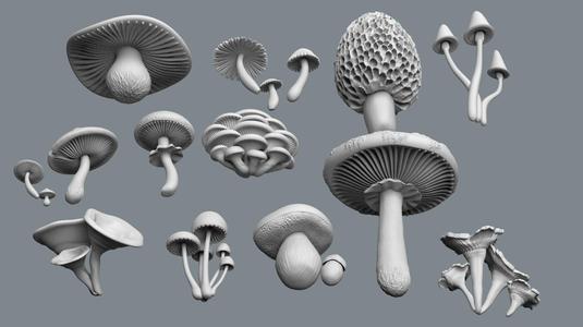 mushrooms