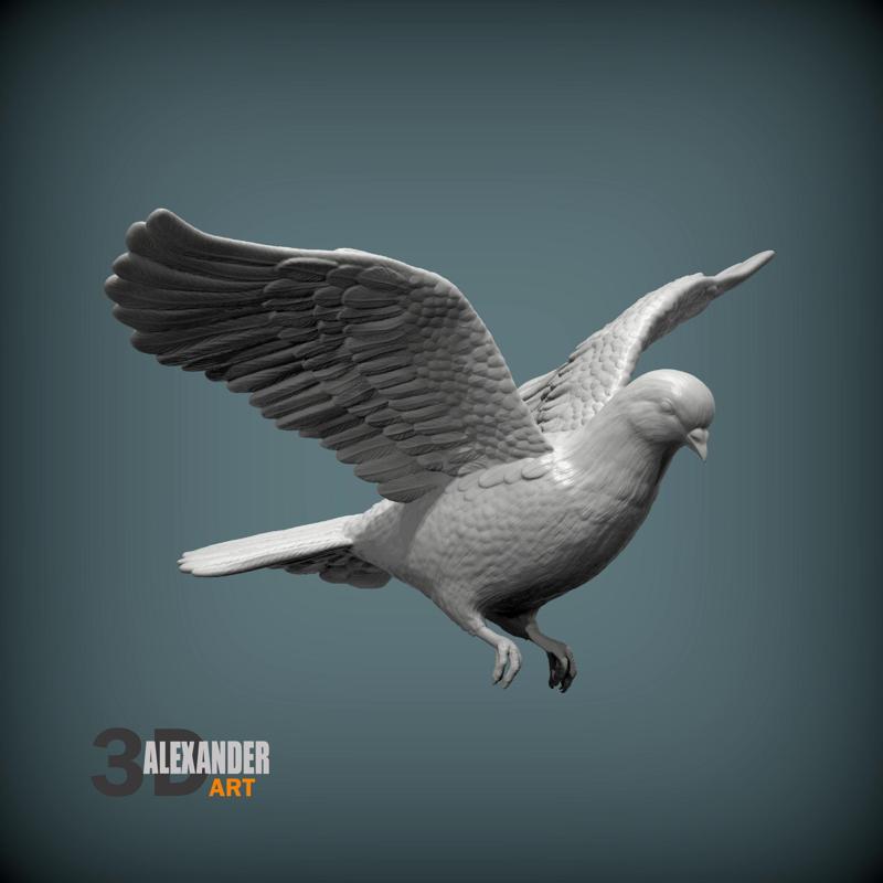 dove is flying