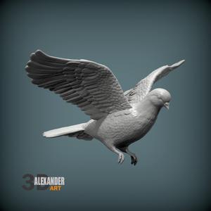 dove is flying