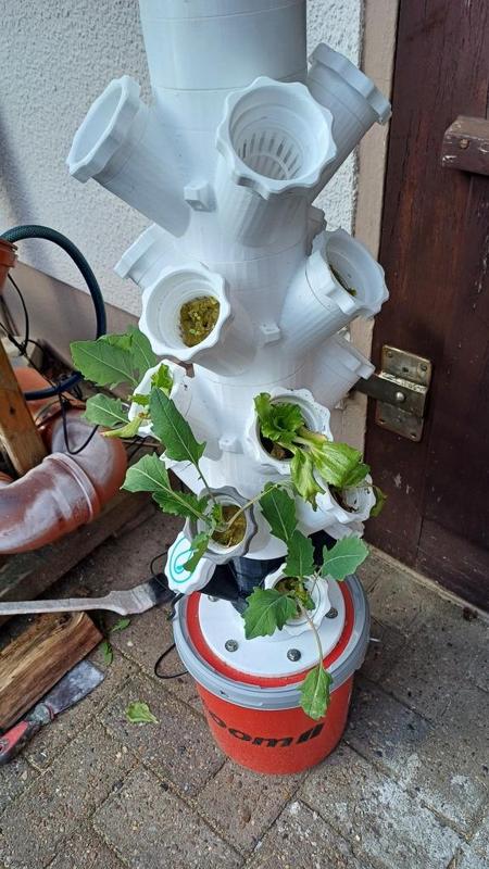 Lid adapter