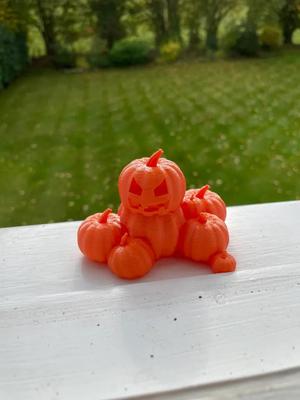 Pumpkin Patch