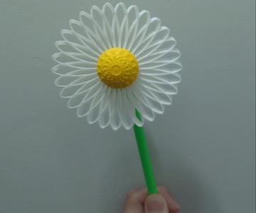 Daisy Pinwheel – Small