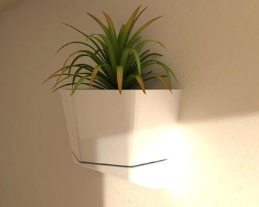 Wall Vase