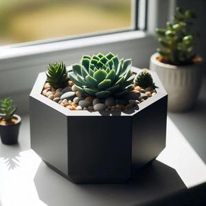Design Octagonal Succulents Planter