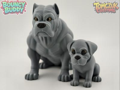 Bouncy Buddy: Cane Corso! Adult and Puppy SET!