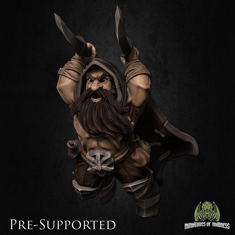 Kogan The Raider [PRE-SUPPORTED] Dwarf Rogue
