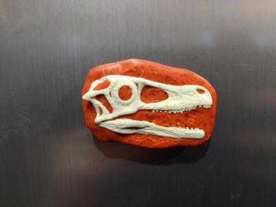 Dinosaur Fossil Skull Magnets