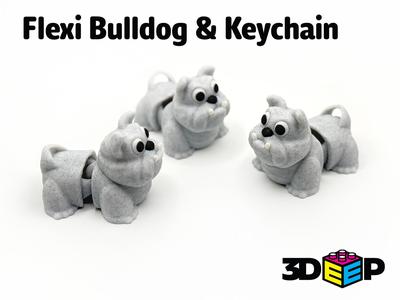 Flexi Bulldog & Keychain – No Supports
