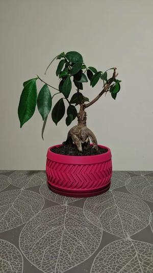 Planter pot