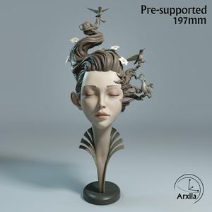 HummingGirl – Serenity