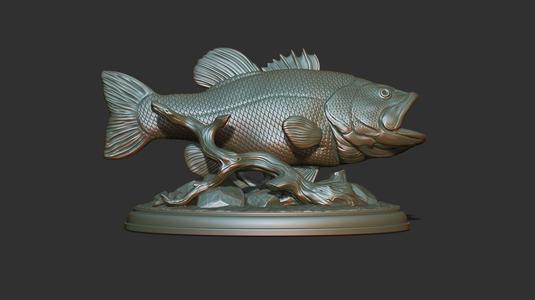 Largemouth bass