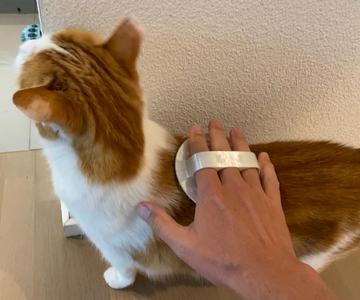 Purrfect Grooming Brush – easy to print & strong
