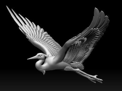 heron bird