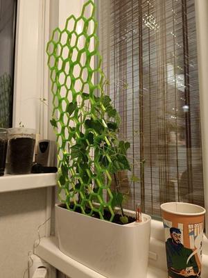Honeycomb plant support wide 208×219 mm