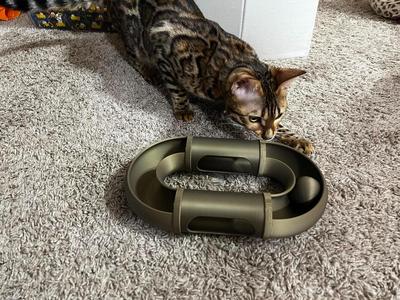 Modular Cat ball track