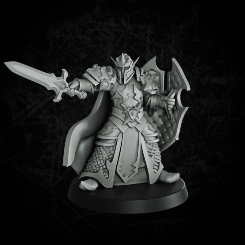 Elf paladin 2