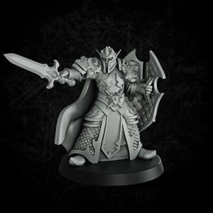 Elf paladin 2