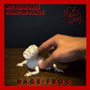 Rage face Flexi Toad Frog articulated print-in-place no supports Meme