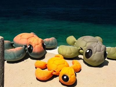 Flexi fidget turle