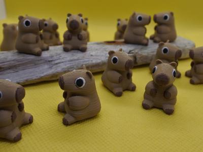 Pocket Capybara Buddy