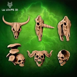 Skulls human and animal - Basing bits